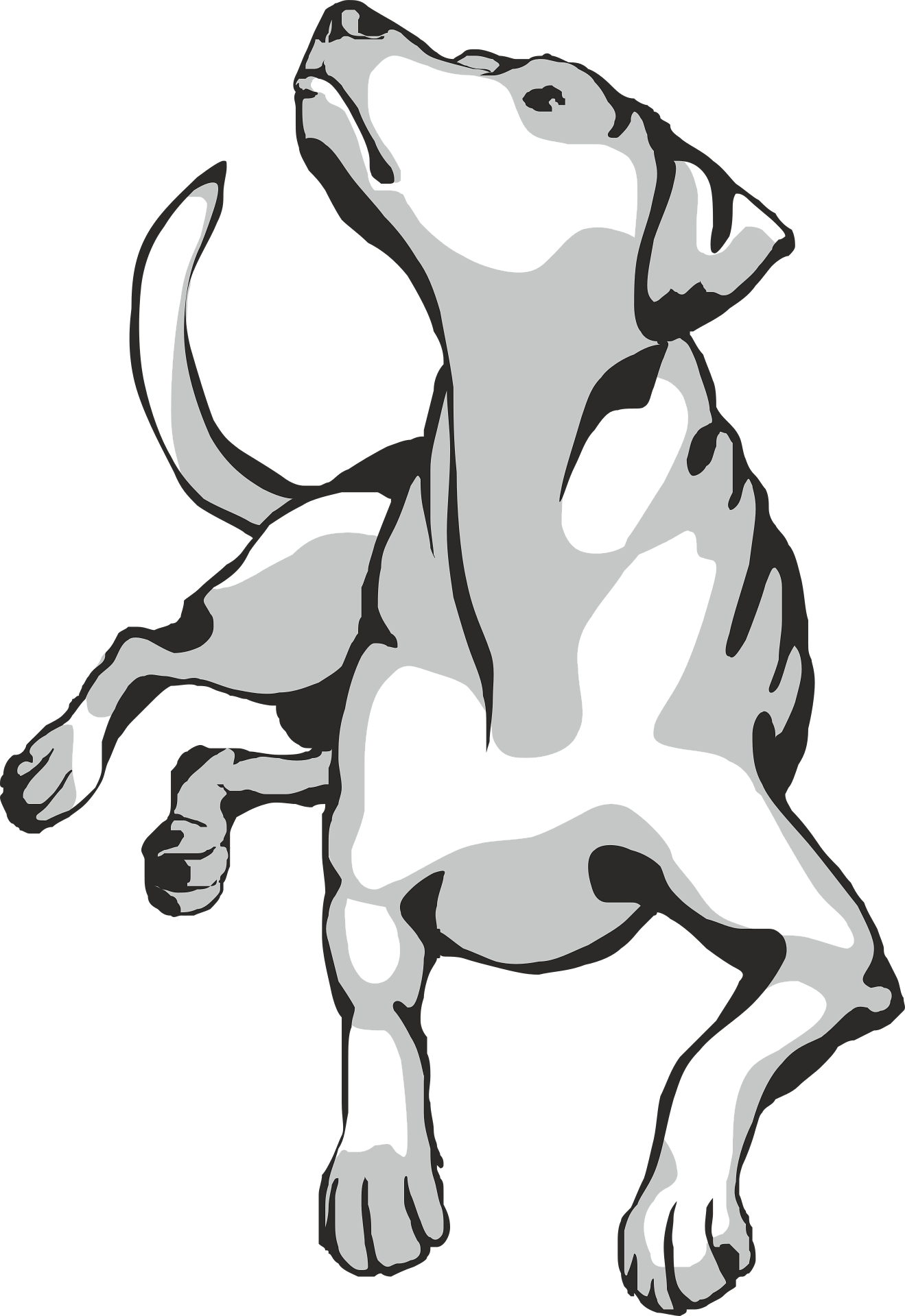 Détection canine des punaises de lit Evreux